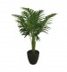 Premier 75cm Artificial Areca Palm Tree