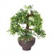 Premier 30cm Artificial Boxwood Bonsai Tree
