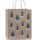 Eco Nature Winter Walks FSC Recycled Gift Bag - Medium