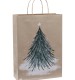 Eco Nature Winter Walks FSC Recycled Gift Bag - Large