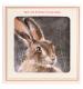 Winter Hare Coasters - Set of 4