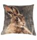 Winter Hare Cushion