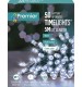 Premier TimeLights Battery-Operated Indoor/Outdoor LED Lights with Timer