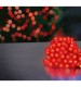 Premier Multi-Action Red Berry Indoor/Outdoor LED Lights - 5m