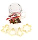 Set of 4 Christmas Cookie Cutters in Mason Jar