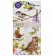 Cancer Research UK 2025 Pocket Diary - Birds