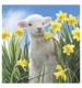 Smiley Lamb Easter Cards - Pack of 6
