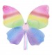 Race for Life Rainbow Wings