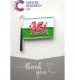 Welsh Flag Wedding Favour