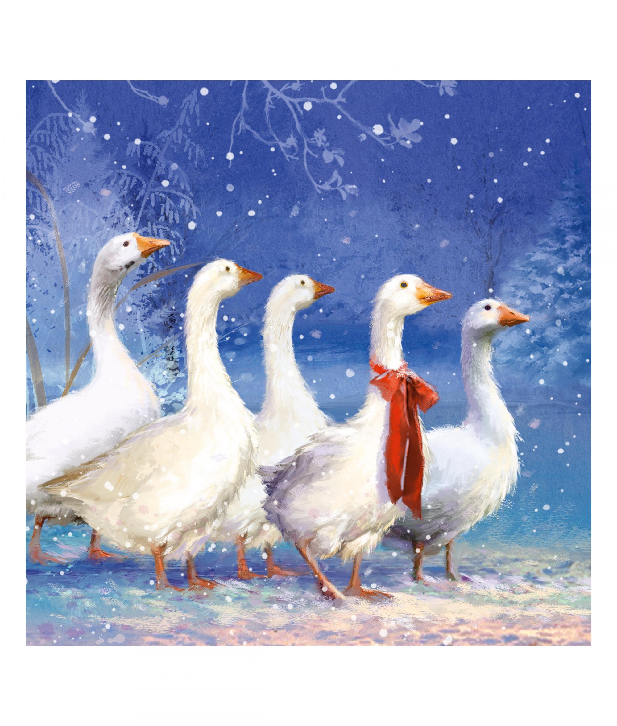 Pack 5 Charity Christmas Cards Pair of Geese Glitter Finish