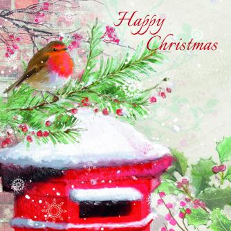 Tiny Robins Christmas Card - Pack of 10  Cancer Research 