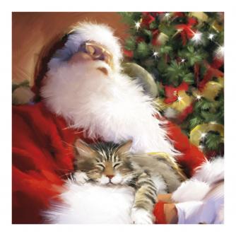 Santa and Tiddles Christmas Cards - Pack of 10