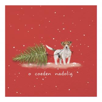 Oh Christmas Tree Welsh Bilingual Christmas Cards - Pack of 10 / O Coeden Nadolig Cardiau Nadolig Dwyieithog - Pecyn o 10