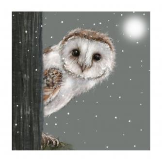 Peeping Percy Christmas Cards - Pack of 10
