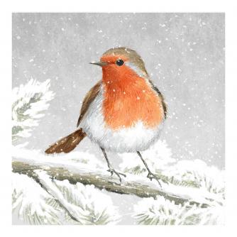 Robin Soft Illustration Christmas Cards - Pack of 10