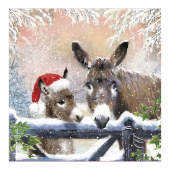 Donkey Duo Christmas Cards