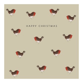 Simply Robins Christmas Cards - Pack of 10