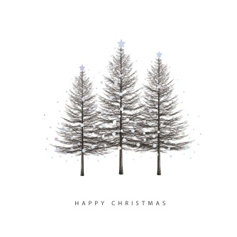 Spectacular Tree Christmas Cards - Pack of 10 or 20