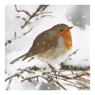 Visiting Friend Christmas Cards - Pack of 10