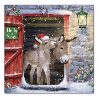 Donkeys in the Doorway Christmas Cards - Pack of 10 or 20