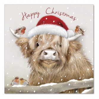 Finlay Feeling Festive Christmas Cards - Pack of 10 or 20