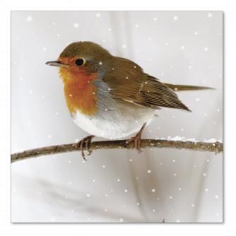 Friendly Robin Christmas Cards - Pack of 10 or 20