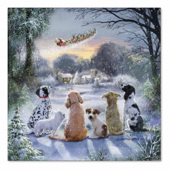 Santa Is On His Way Christmas Cards - Pack of 10 or 20