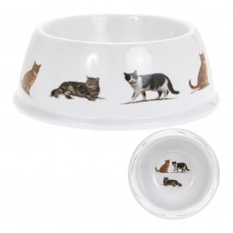 Cat Breeds Bowl