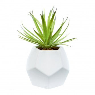 Premier Pentagonal Pot Artificial Succulent Plant
