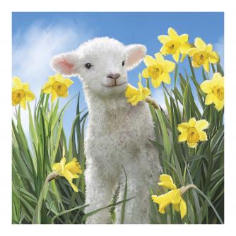Smiley Lamb Easter Cards - Pack of 6