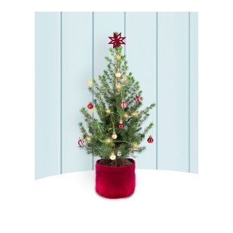 Merry & Bright Letterbox Christmas Tree