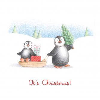 penguin pals cancer research uk christmas card 